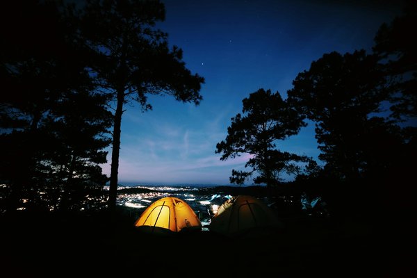 Location de trottinette : choisissez la liberté à chaque virage !