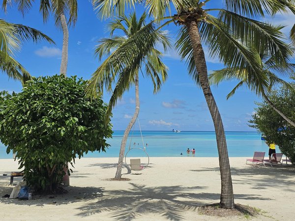 Louez le Appartement de Luxe Idéal en Centre-Ville : Guide Complet pour Réussir votre Recherche!