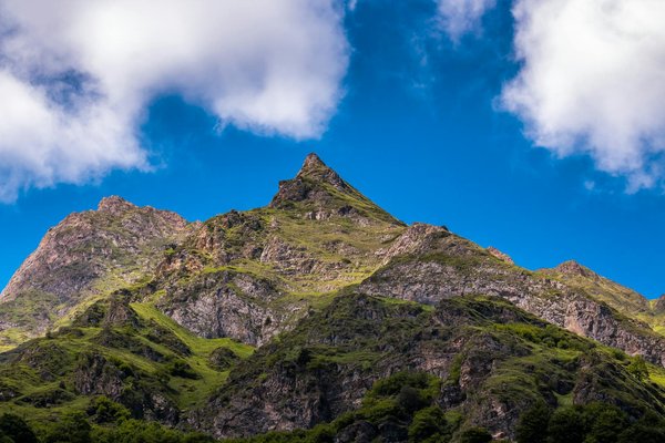 Les incontournables de Bordeaux : explorez les meilleures appellations viticoles